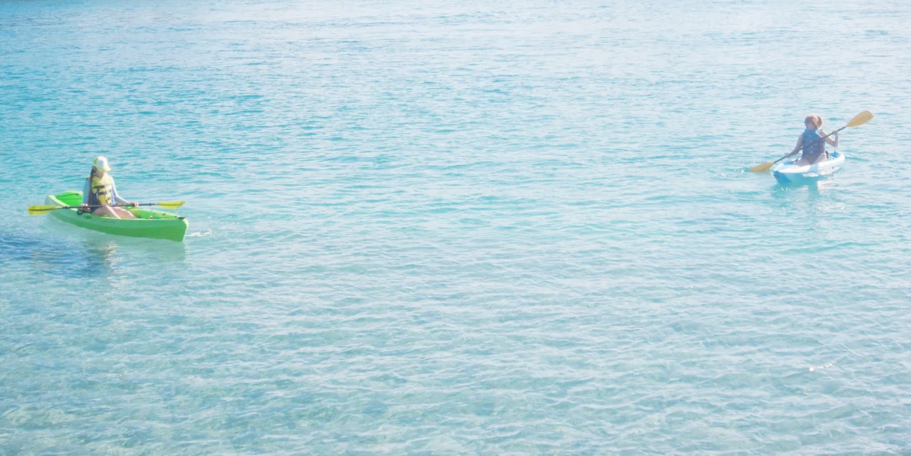 tumblr_nhq5gitE061tebseeo4_1280.jpg