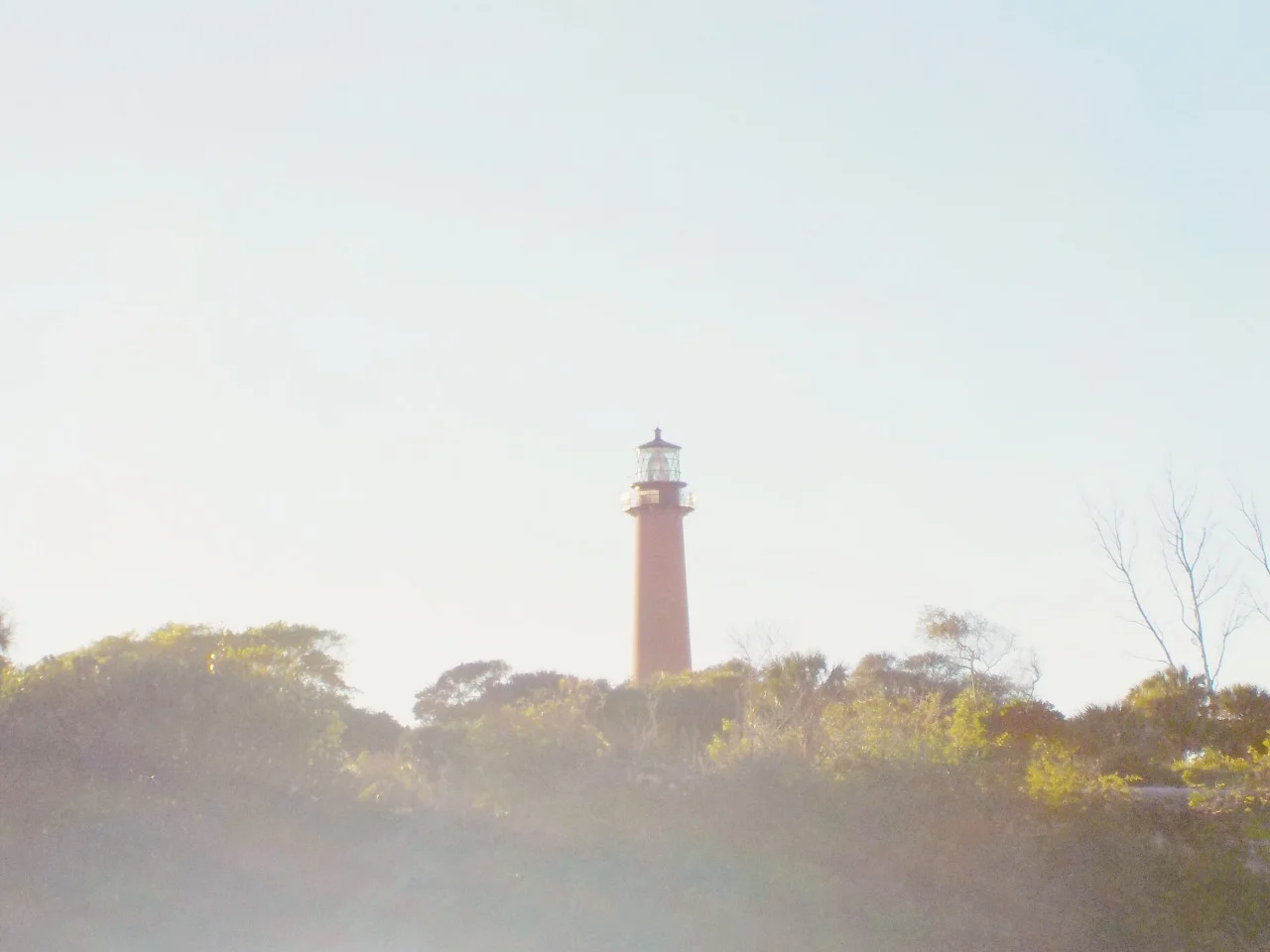 tumblr_o0lomcptqD1rvs8xto10_1280.jpg
