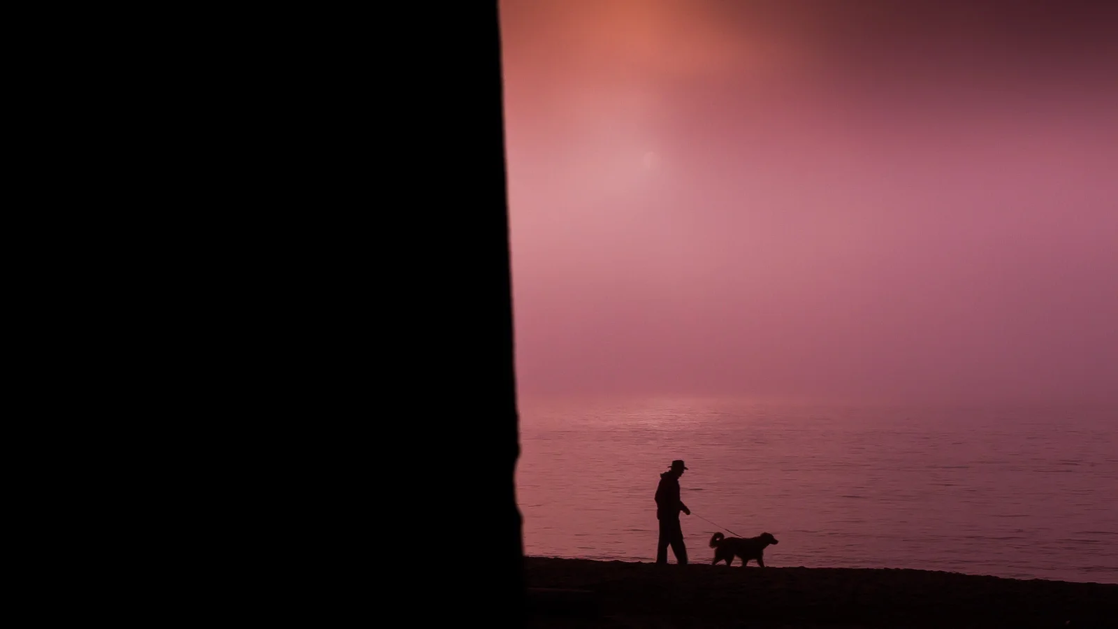 Man walking dog_EnglishBay-1.JPG
