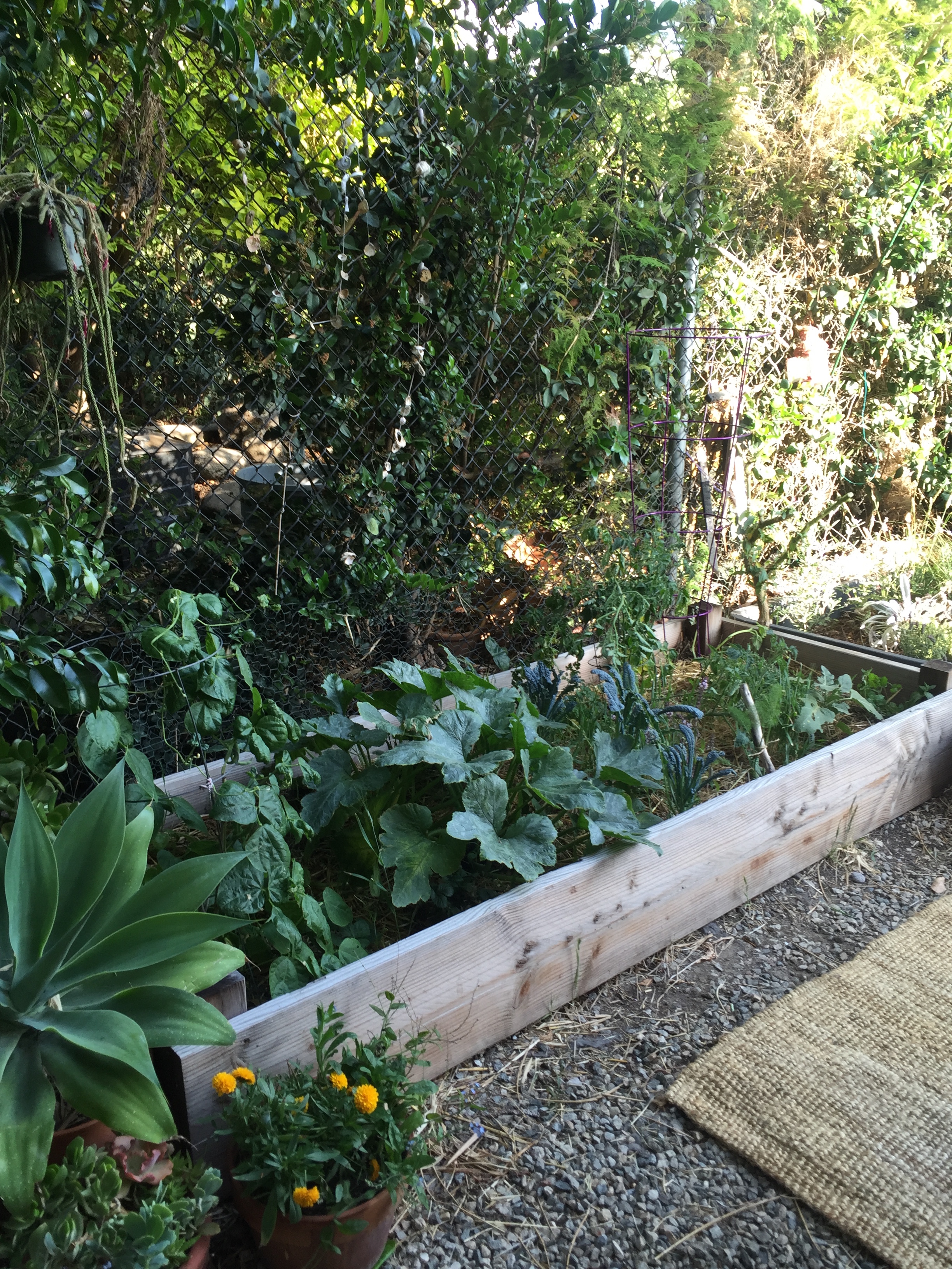 Aele's garden