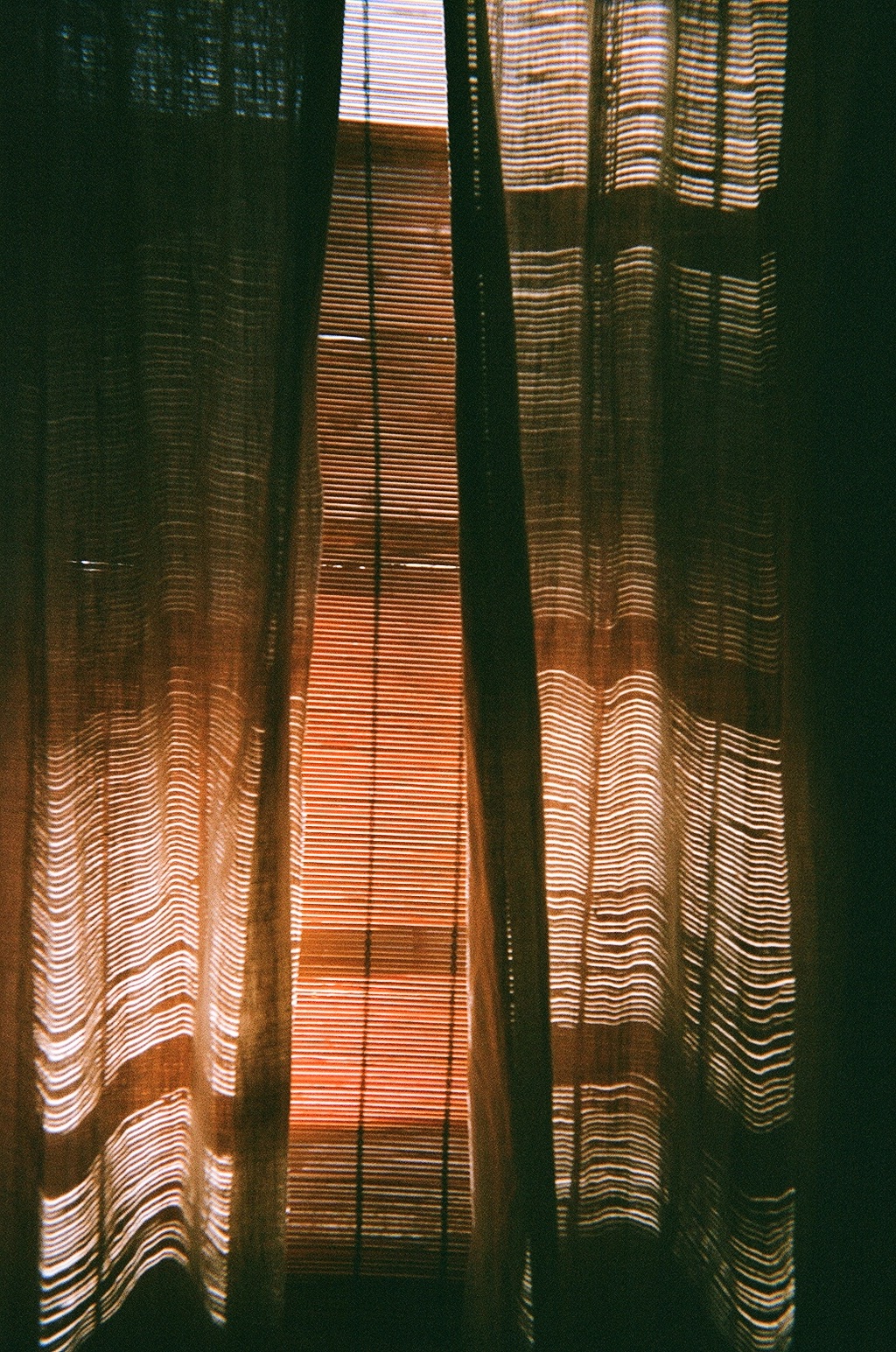 film from a disposible camera. photo by Lauren Ardis