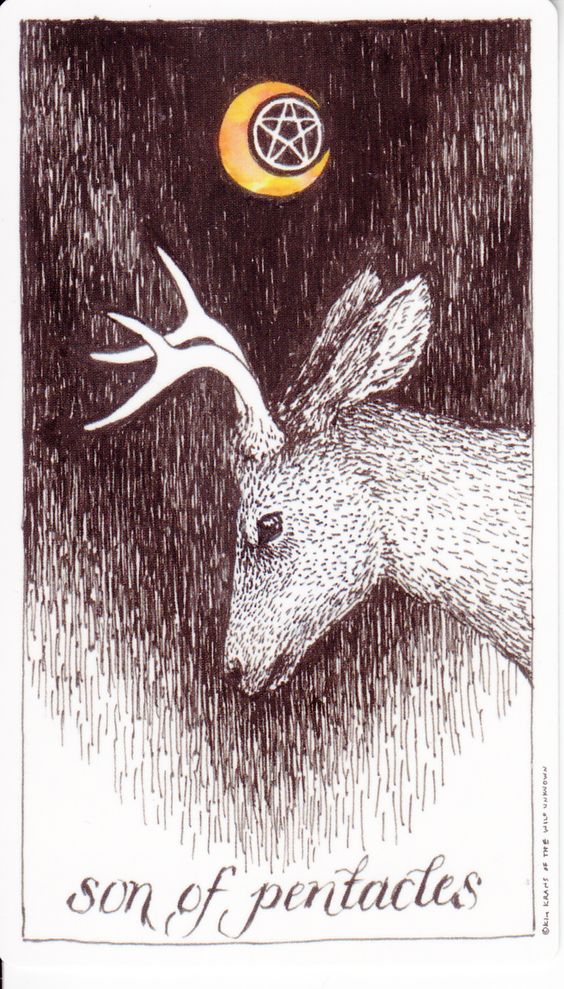 Tarot card by The Wild Unknown