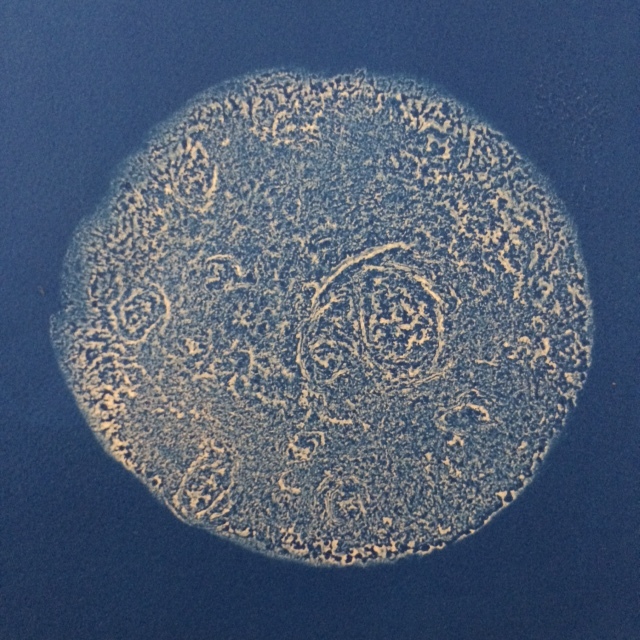 tortilla moon by jack sanders