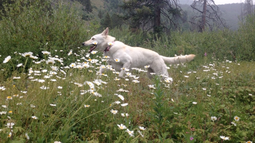Lady running