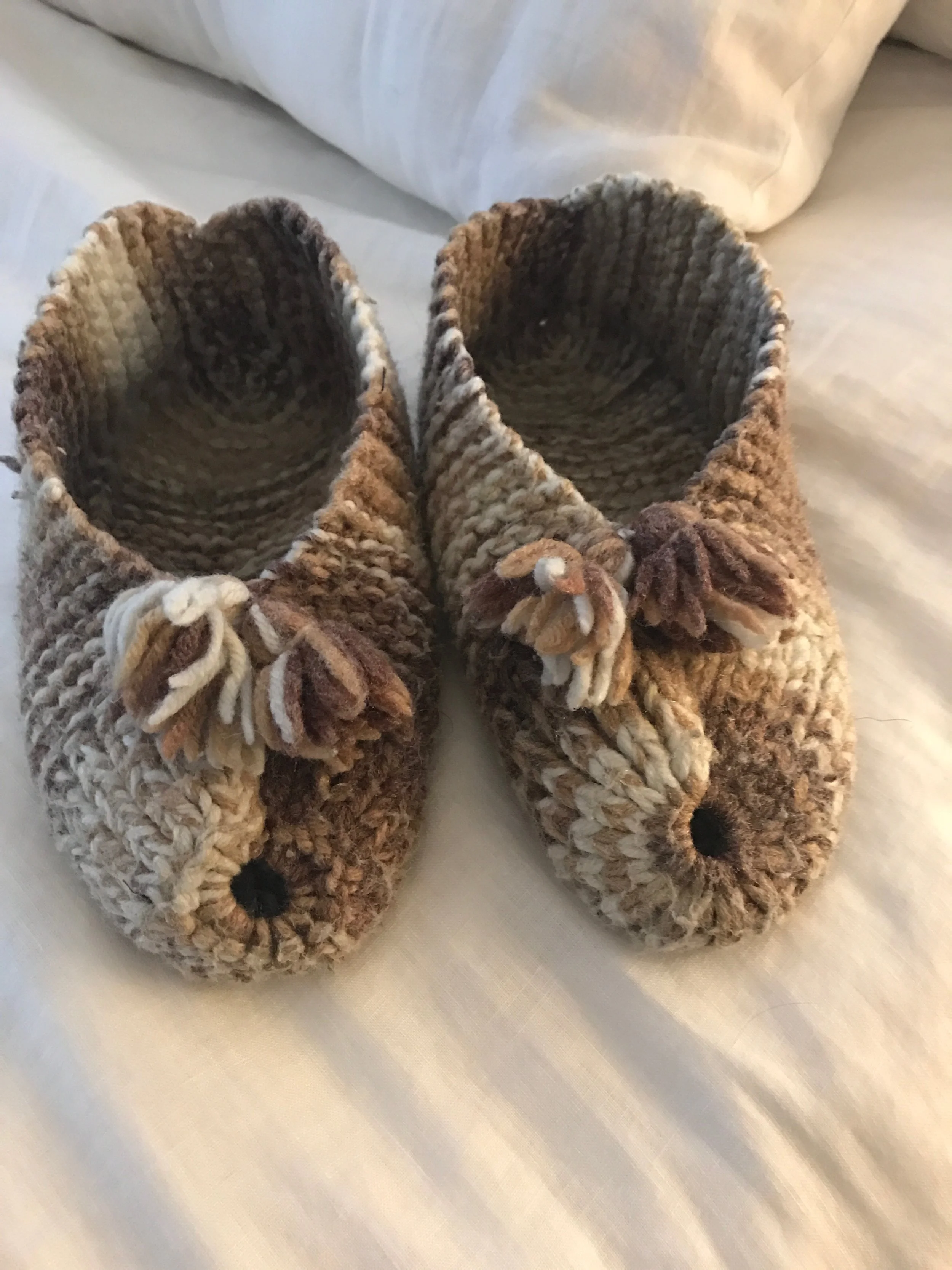 Lali's slippers