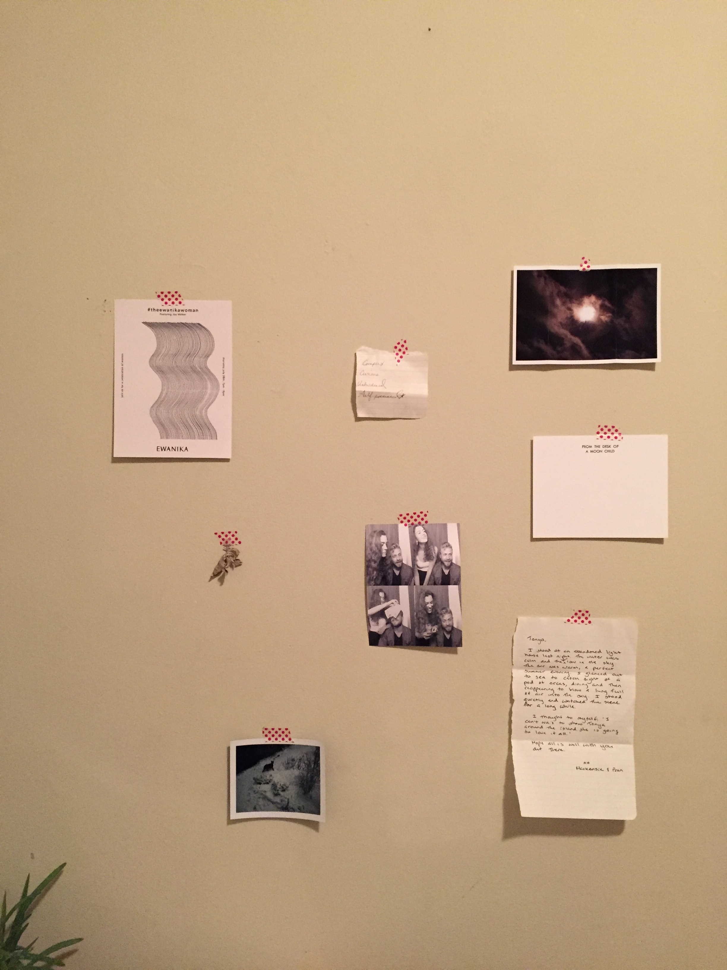 old notes and photos on a wall in my apartment