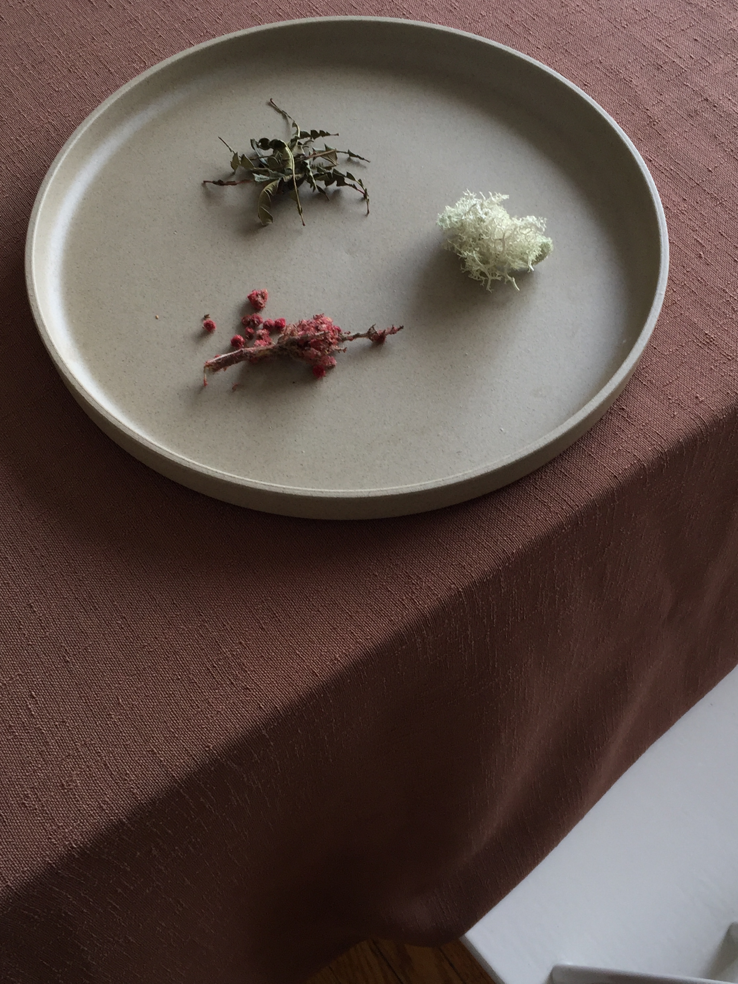 Canadian ingredients I sourced for a dinner pop-up. Lichen, sweet fern and sumac berries. 