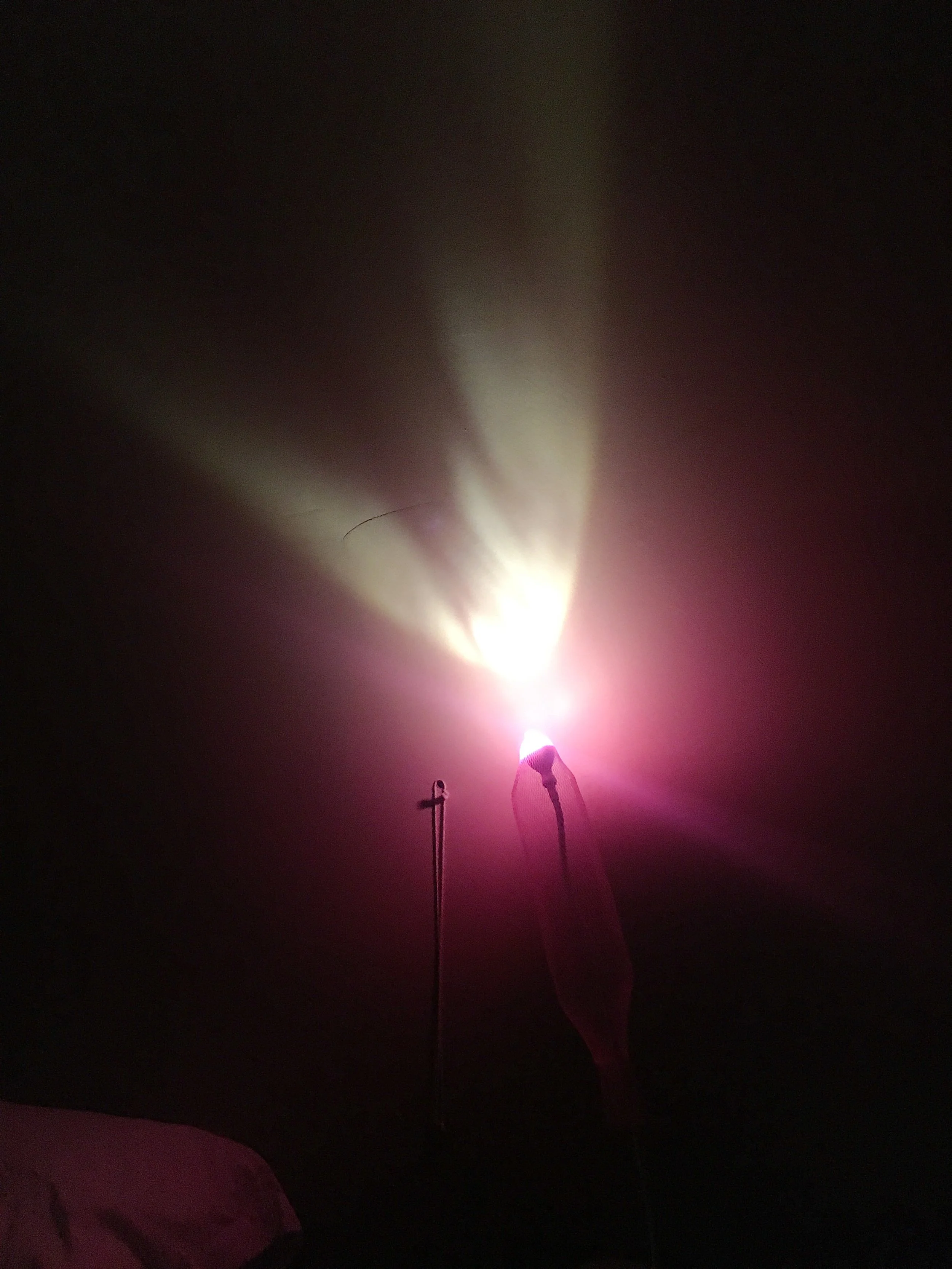 pink lights