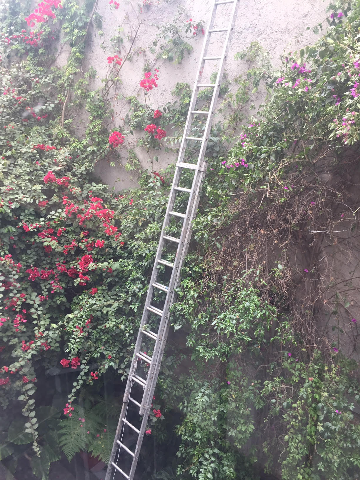 Mexico City