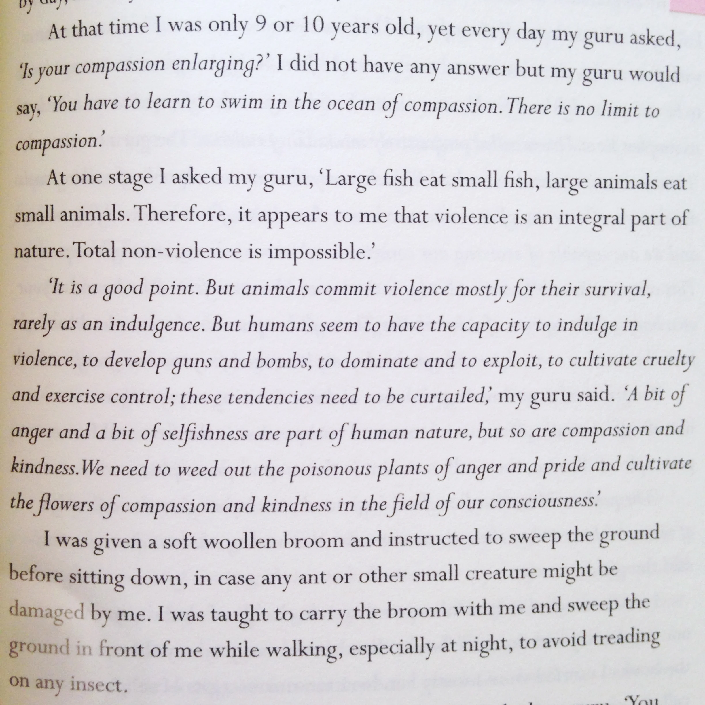 "Soul Society" by Satish Kumar
