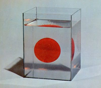 "Fascinating Experiments in Physics" by François Cherrier, Sterling Publishing, NY, 1979