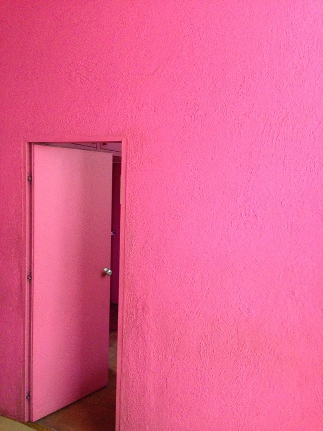 Barragan's pink