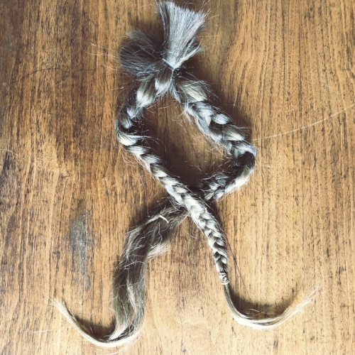 Saved braids
