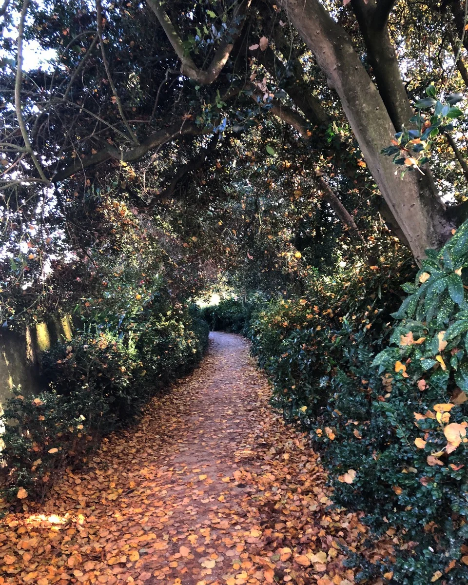 Seasons in decay