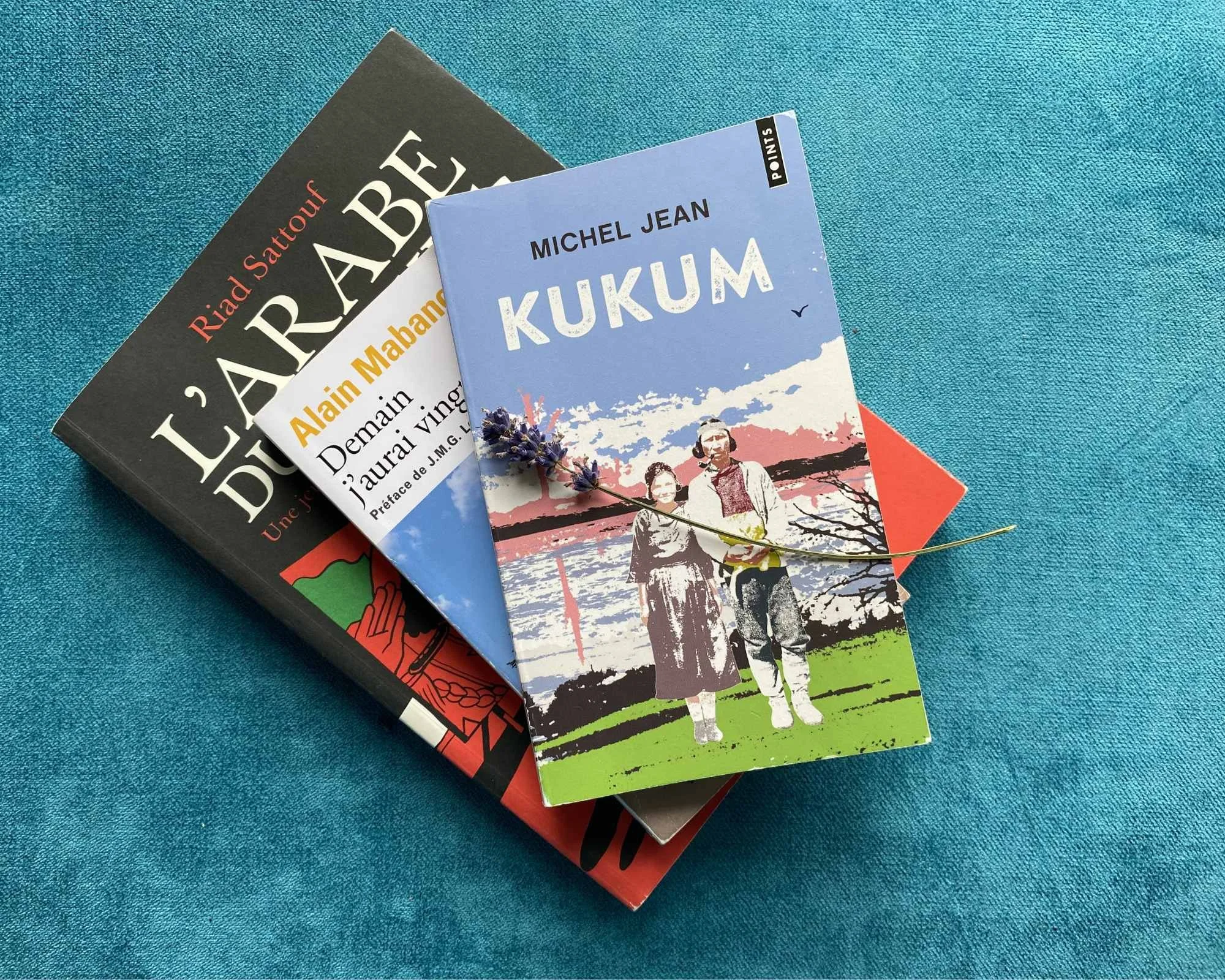 Our French Book Club’s Favourite Francophone Books of 2025–2026