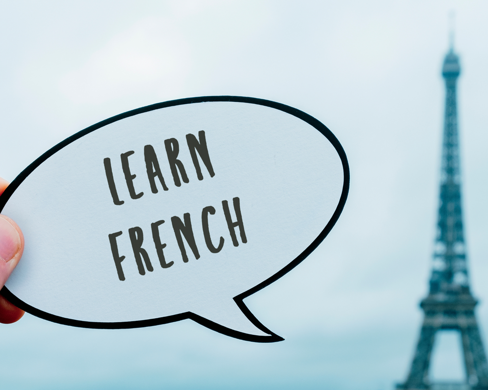 Navigating French Bureaucracy: A Guide for prospective expats in France ...