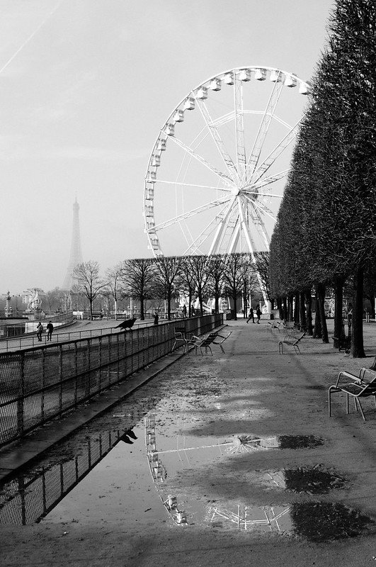 Matinée parisienne by Estelle Morali-Silver