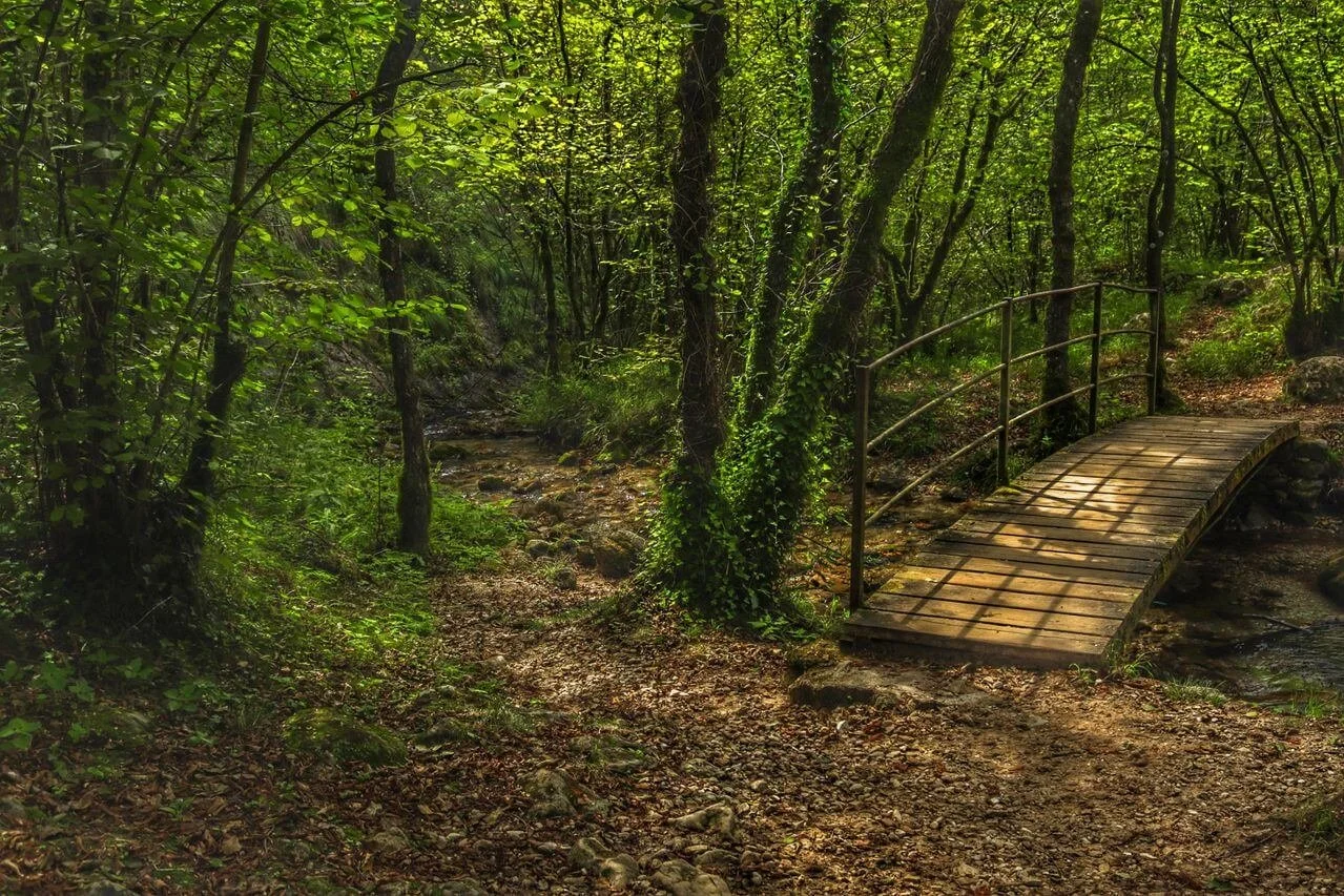 Hidden Gems in Sandwich, MA That Most Tourists Miss