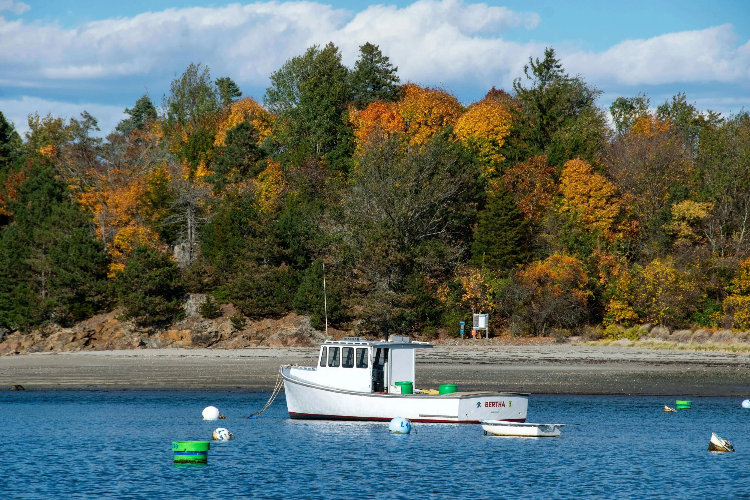 Cape Cod coastline in fall with boat and colorful autumn foliage trees
