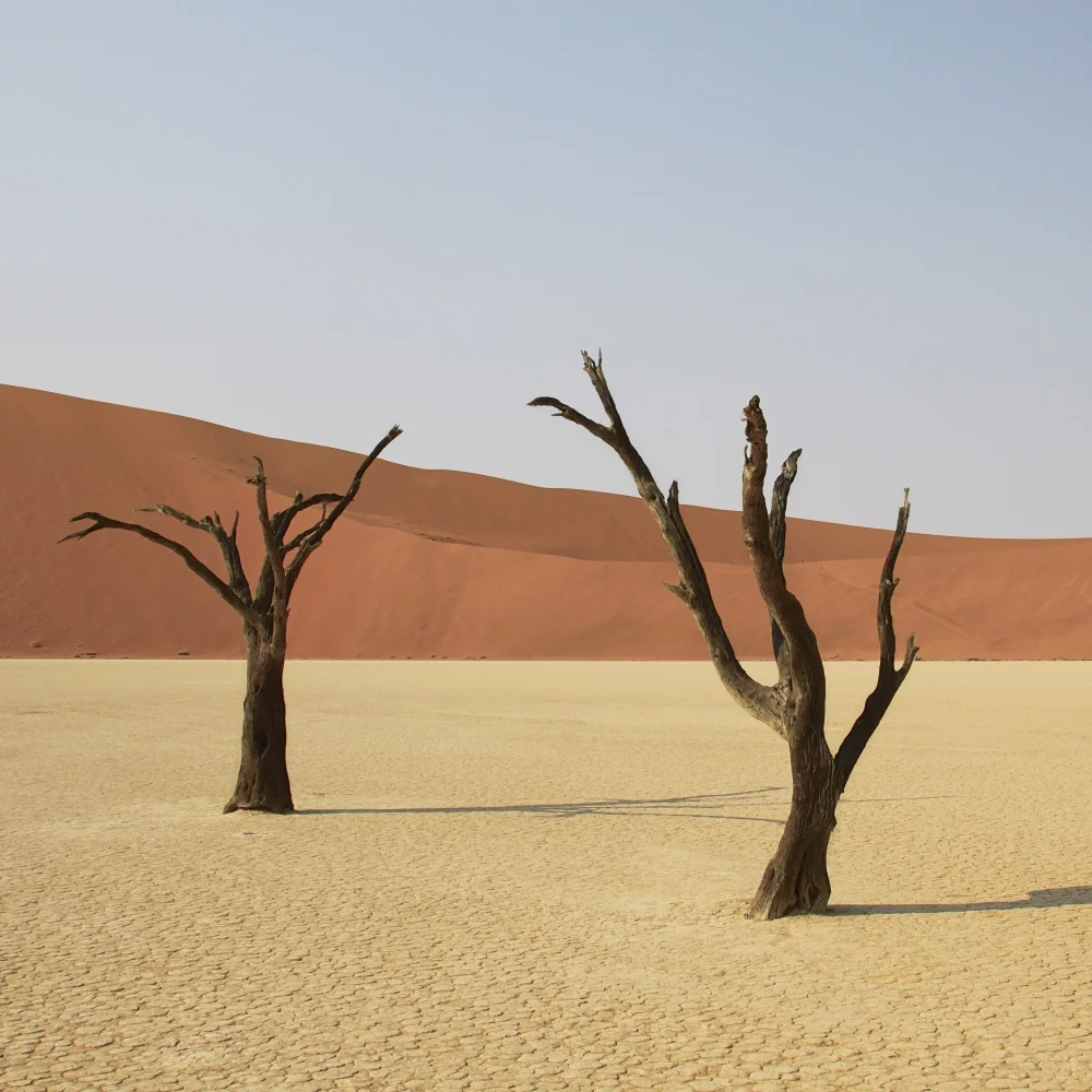 deadvlei.jpg
