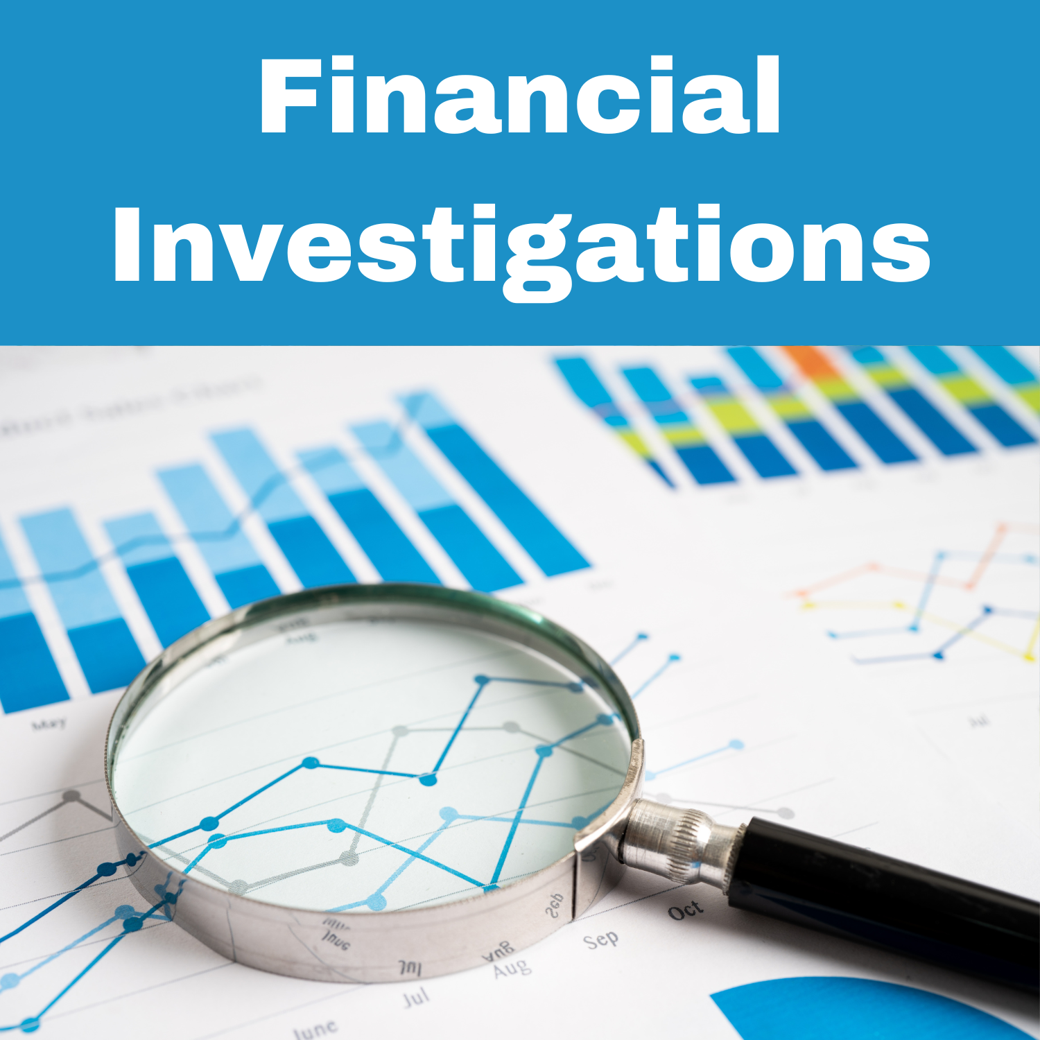 Financial Investigation Software