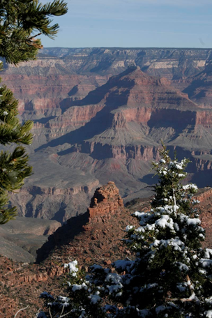 Morning snow with Utah Juniper