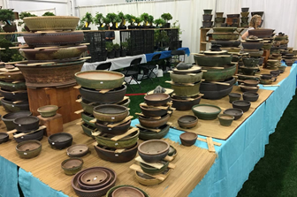Sara Rayner display before