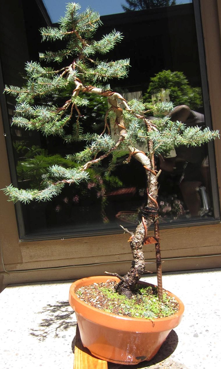 2015 Strong growth after the initial styling