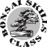 bonsaiskillsclass.jpg