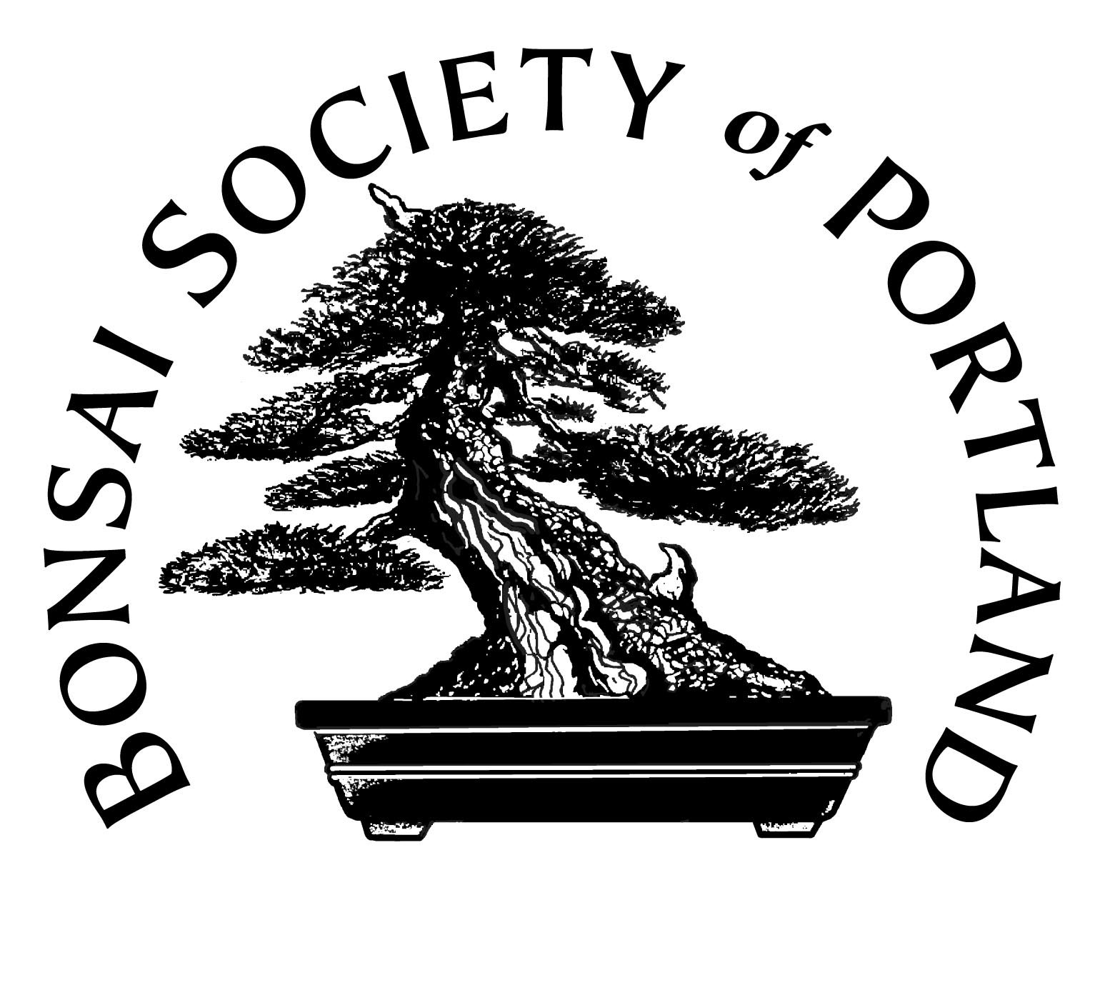 BSOP Medallion