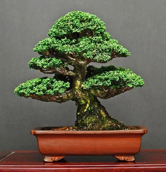 Pop-up Workshop: Oregon Shohin Krafters