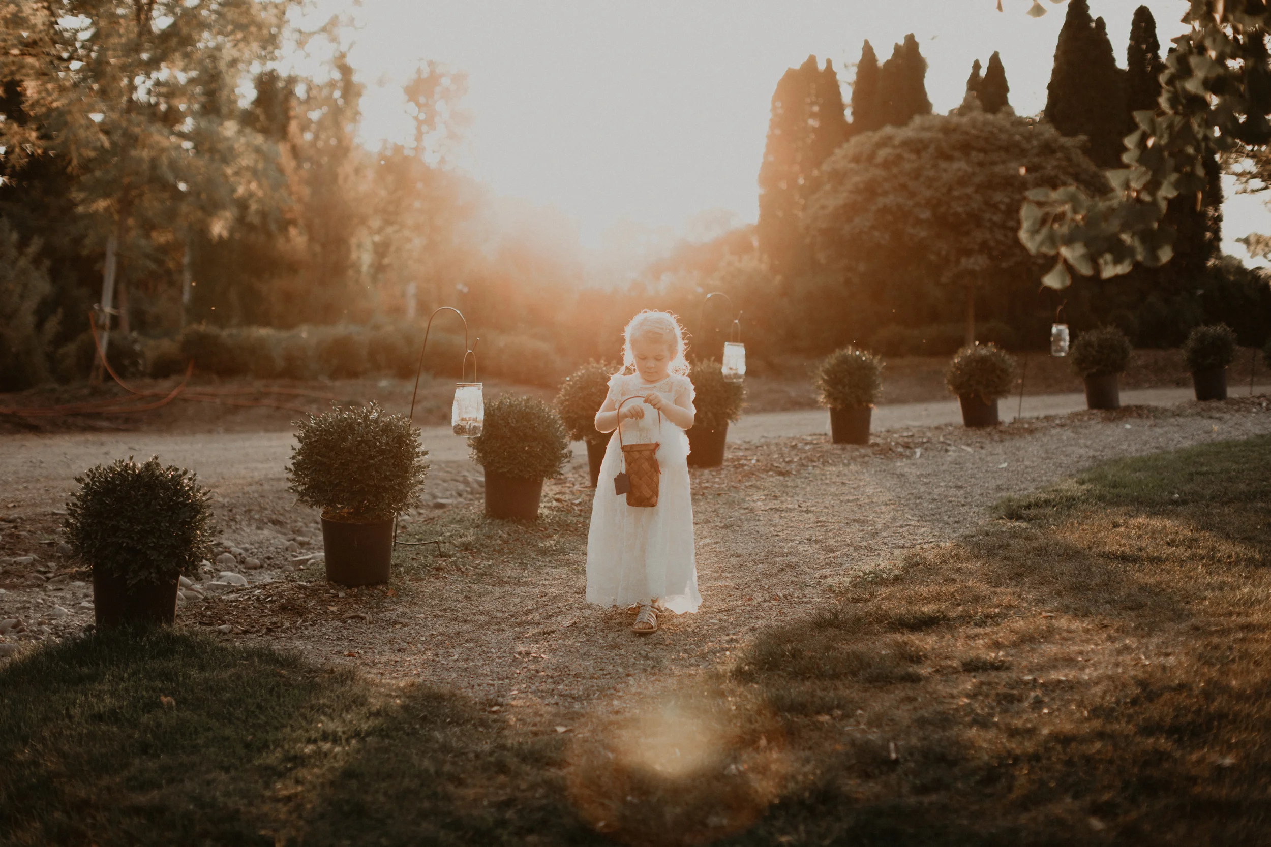 (158) Lauren + Jeff (Wedding).jpg