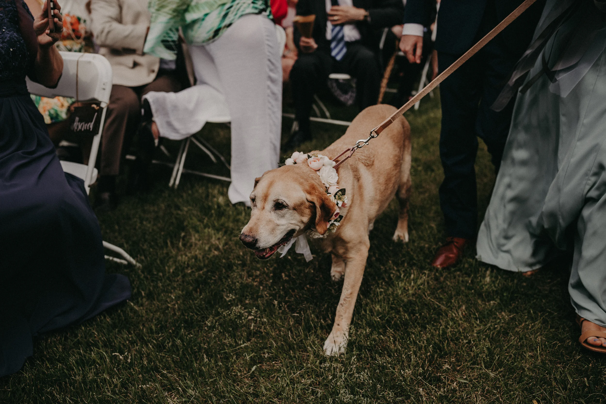 (0190) Katy + Jared (Wedding).jpg