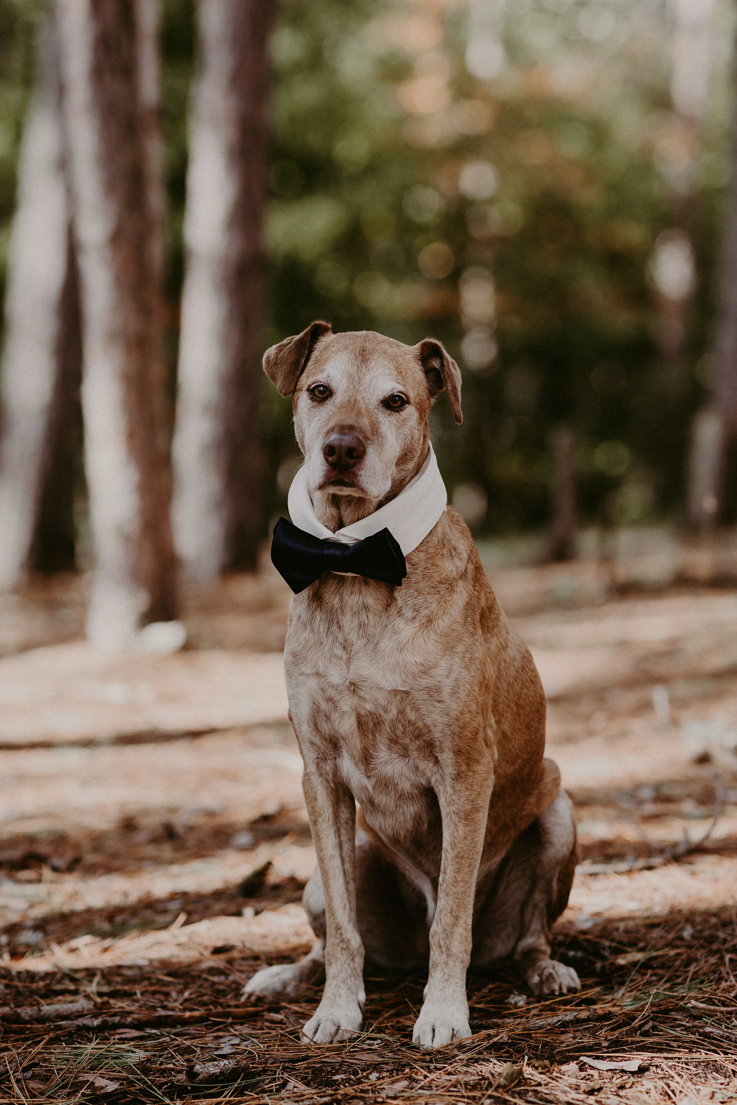 (0047)Alex+Dave(Wedding).jpg