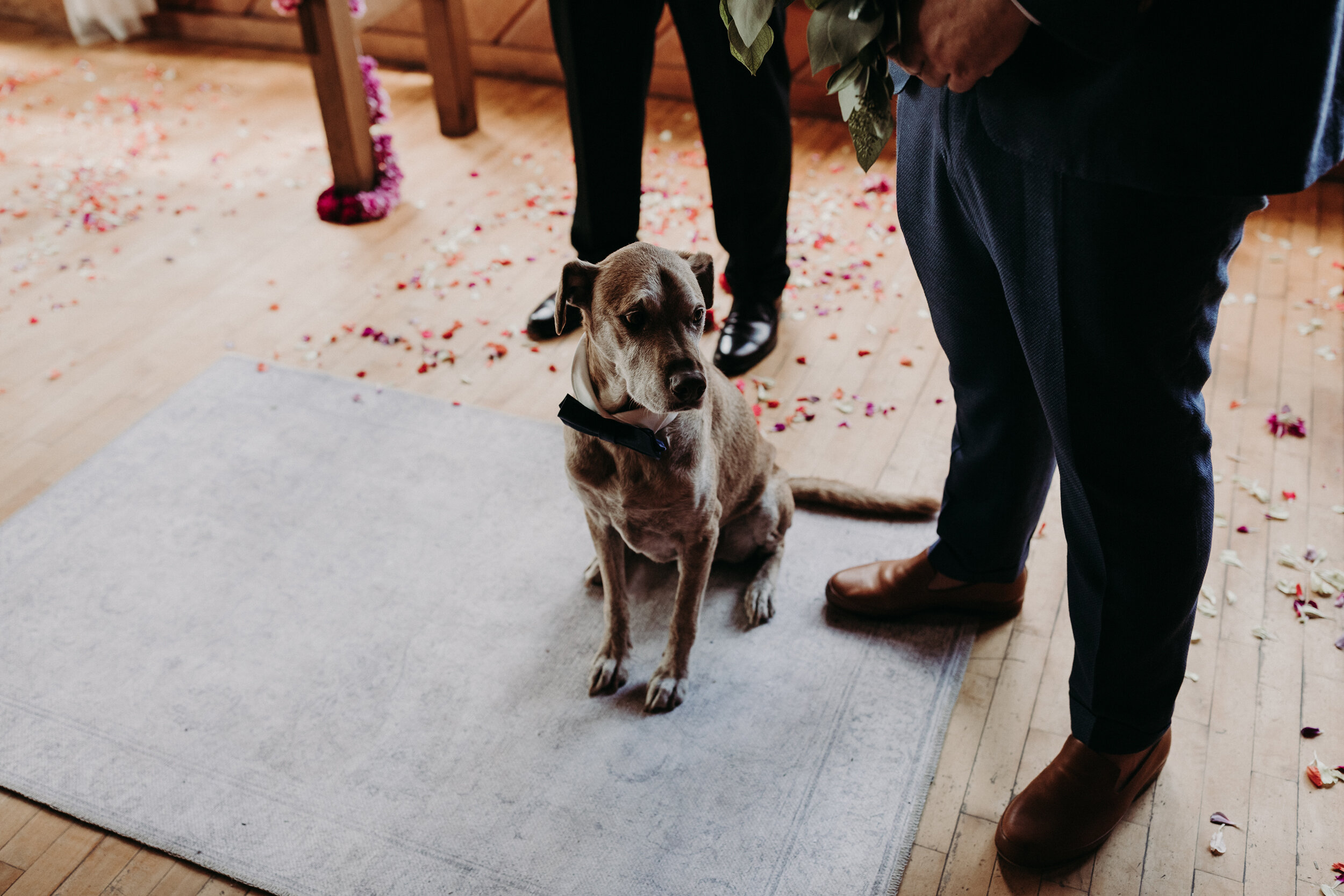 (0226)Alex+Dave(Wedding).jpg