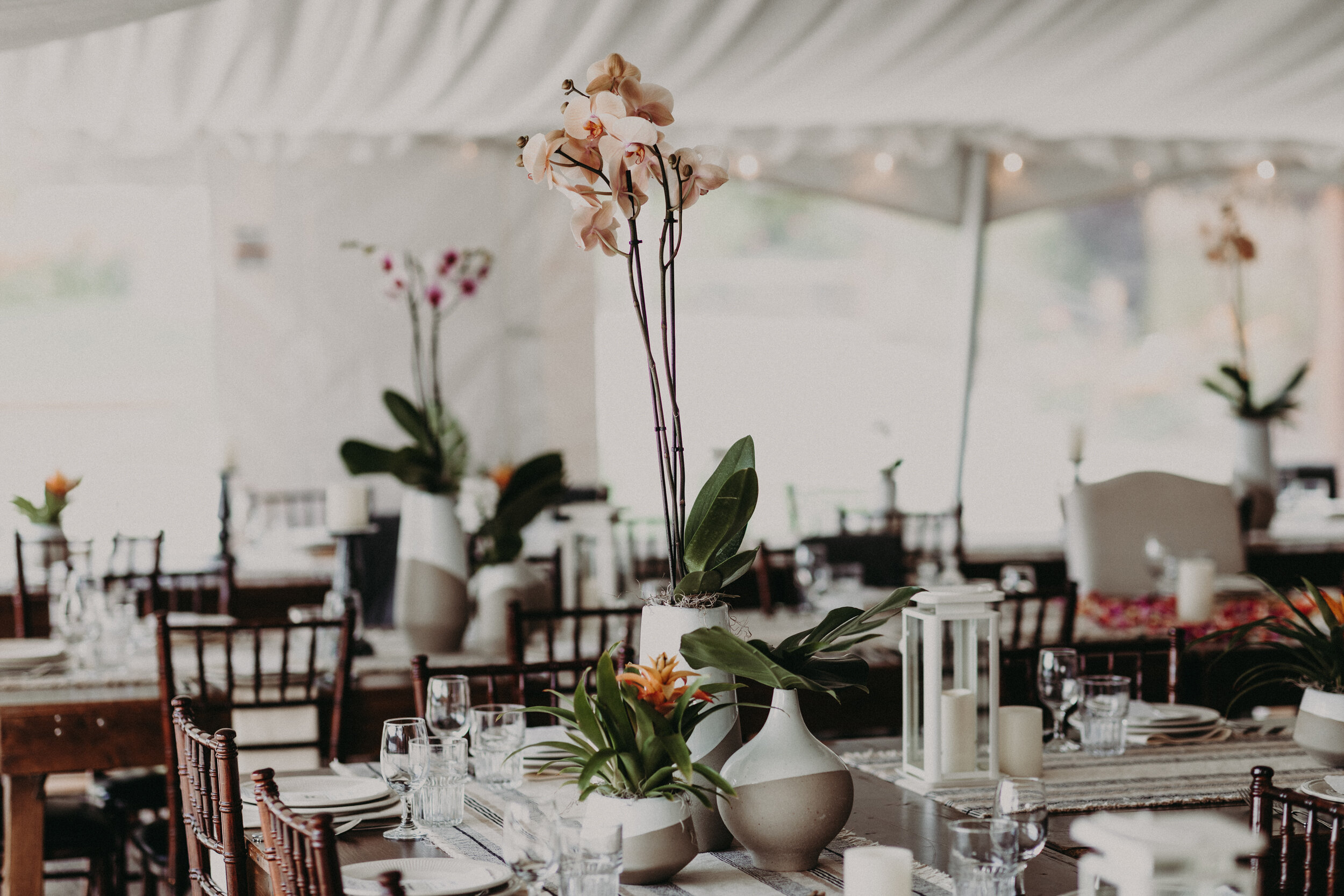 (0616)Alex+Dave(Wedding).jpg