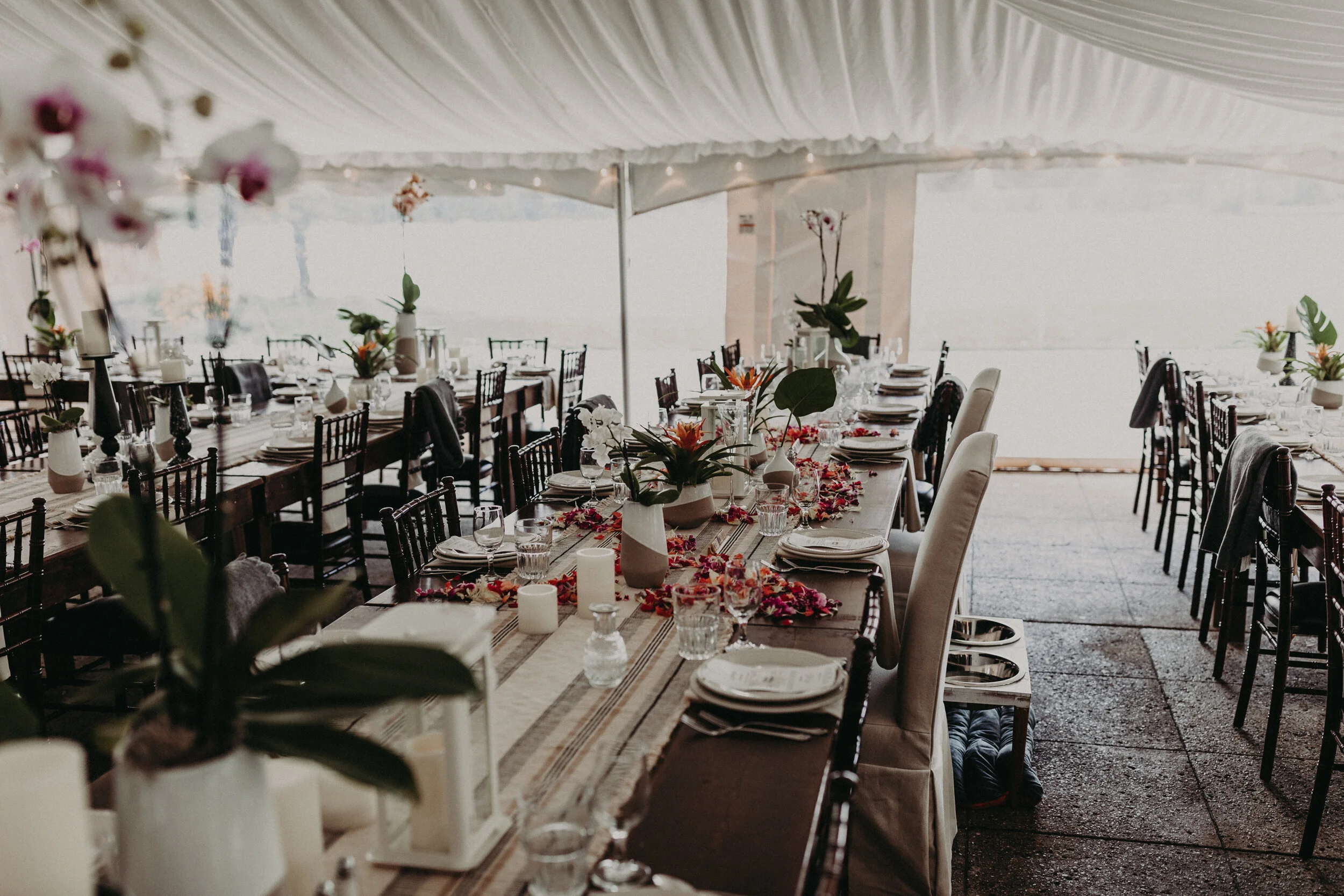 (0625)Alex+Dave(Wedding).jpg