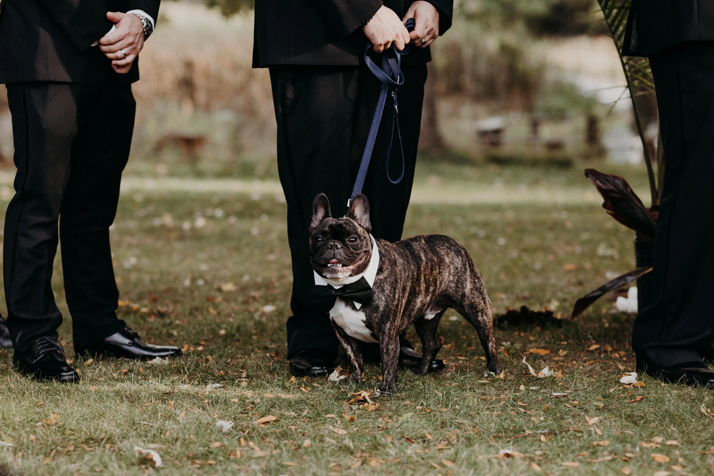 (0697) Vivien + Chris (Wedding).jpg