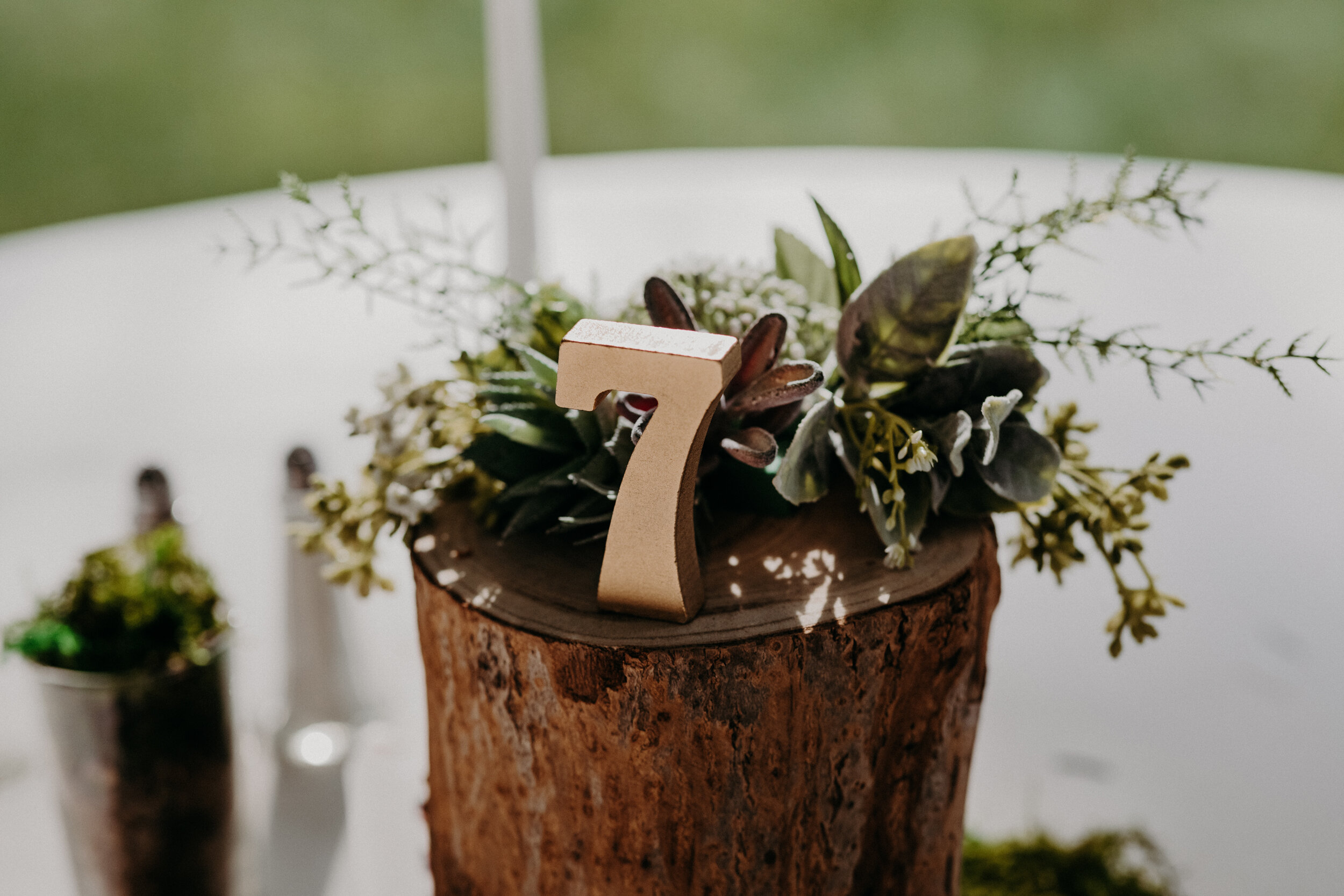 (1131) Vivien + Chris (Wedding).jpg