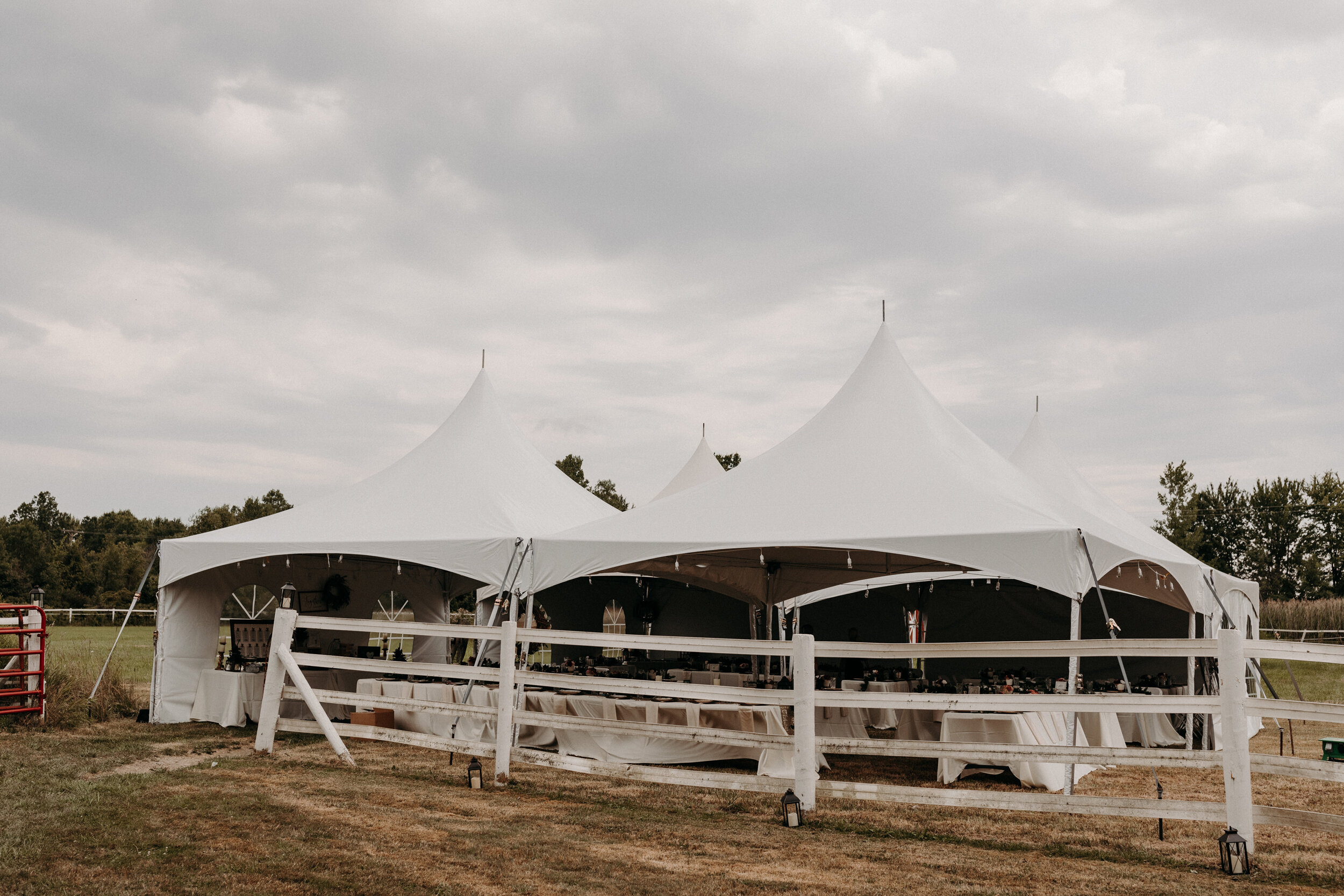 (566) Susan + Jeff (Wedding).jpg