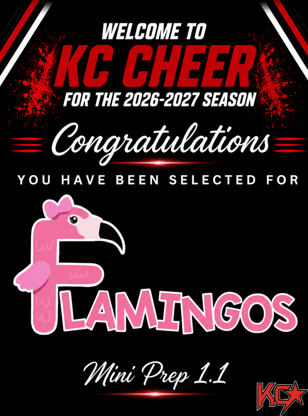 Flamingos