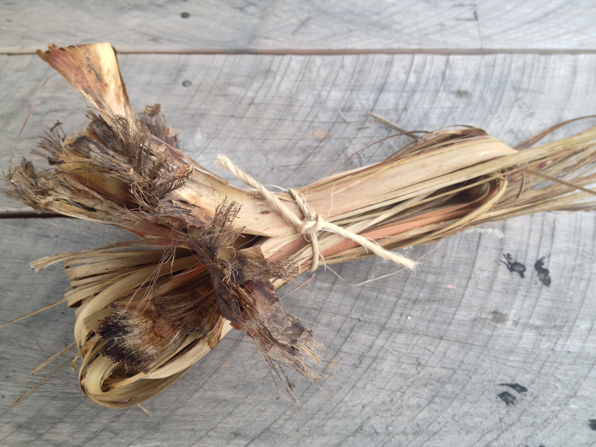 Fire starters made by bundling up cabbage tree leaves. $2 for 12!