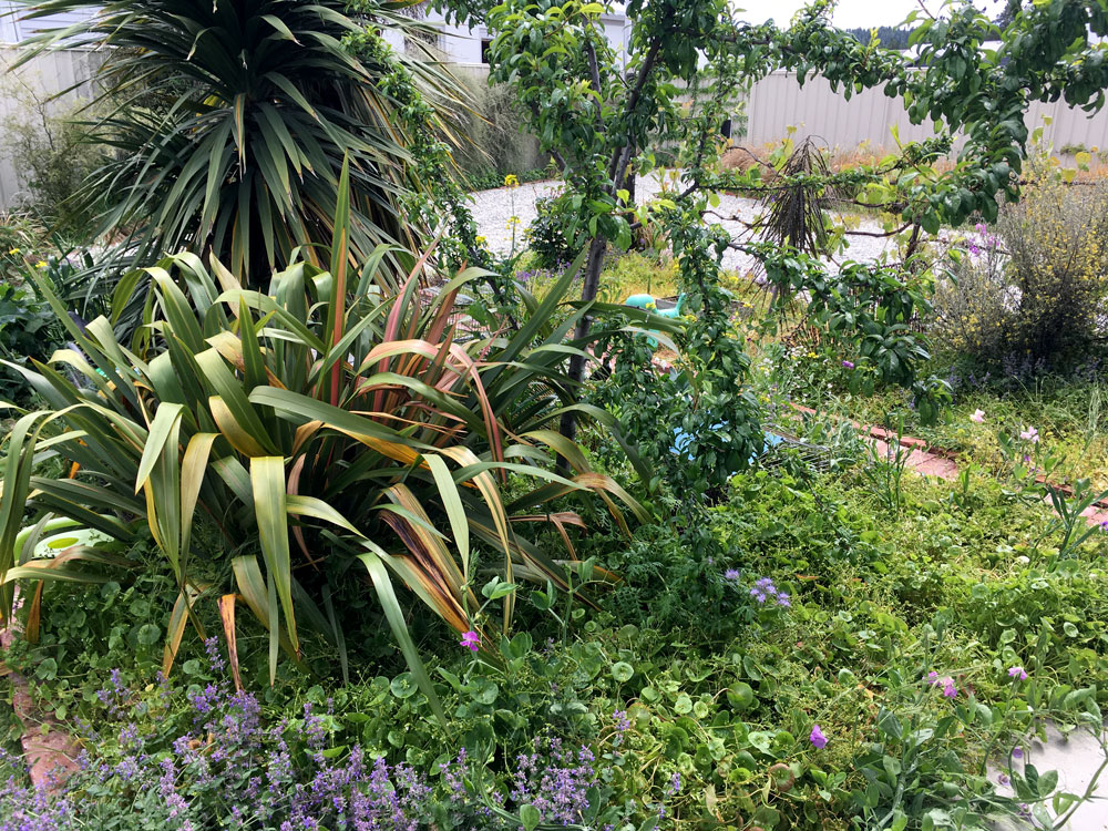 The quail enclosure is well hidden, just the way they like it.