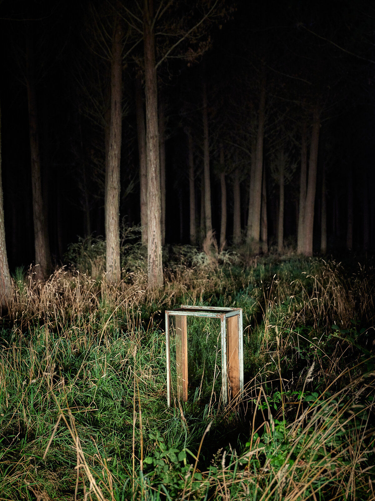   Dr Ward’s Case # 12, Kaimanawa Forest Park, Night, 2019, 1110mm x 850mm  