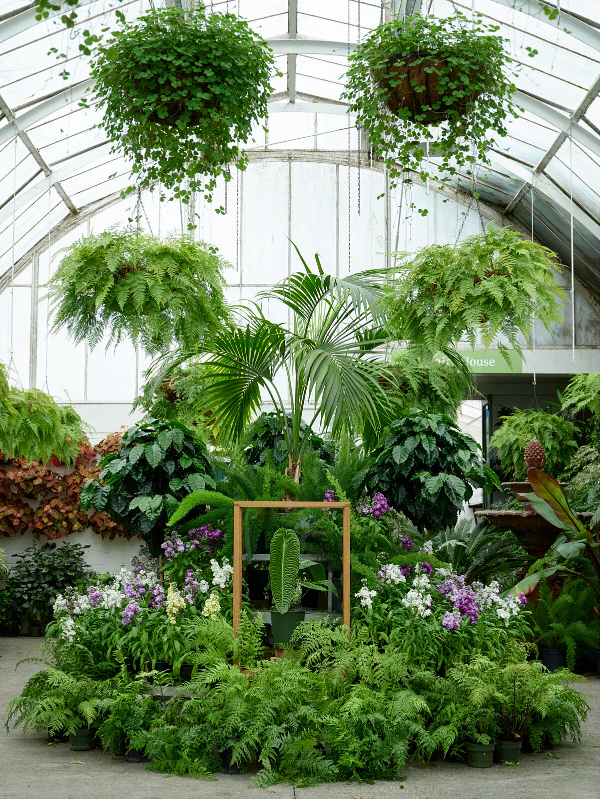   Christchurch Botanic Gardens - Glass house, ChCh 2020 1080 x 830mm  