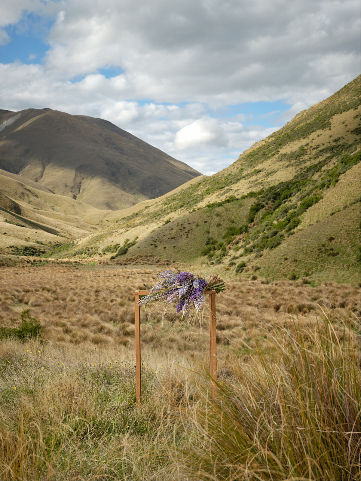   Lupin and Tussock- Lindis Pass, Canterbury. 2020.  1080 x 830mm  