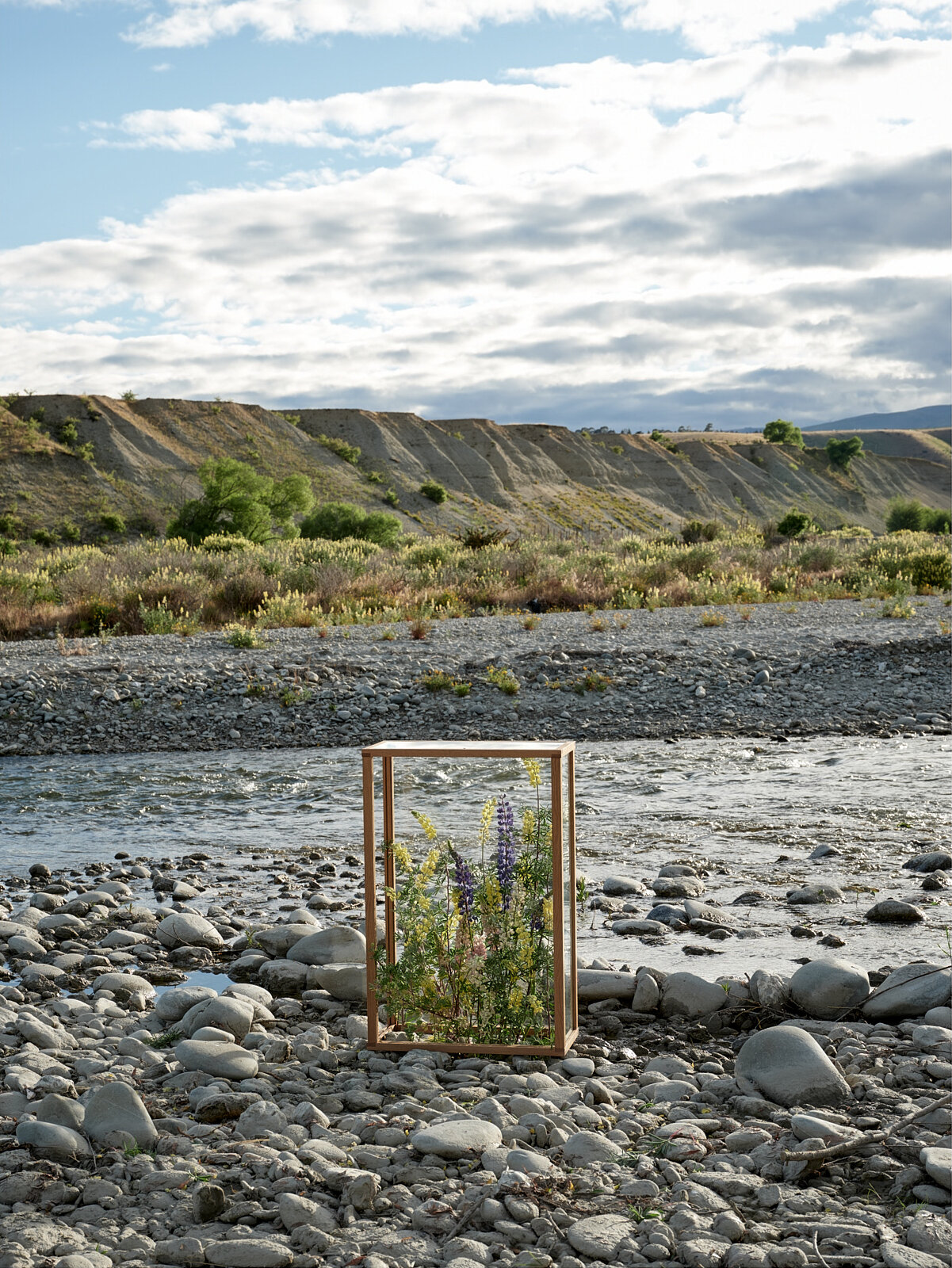   Lupins - Lindis River, Otago. 2020. 1080 x 830mm.  