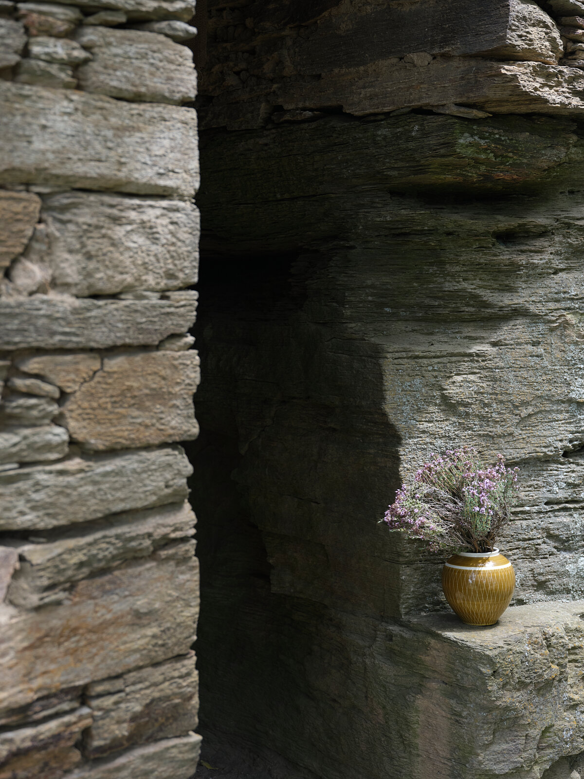  Vase and Thyme, Mitchell Cottage, Fruitlands, Central Otago. 2020. 330 x 250mm  