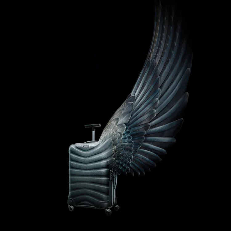 Samsonite frame.jpg