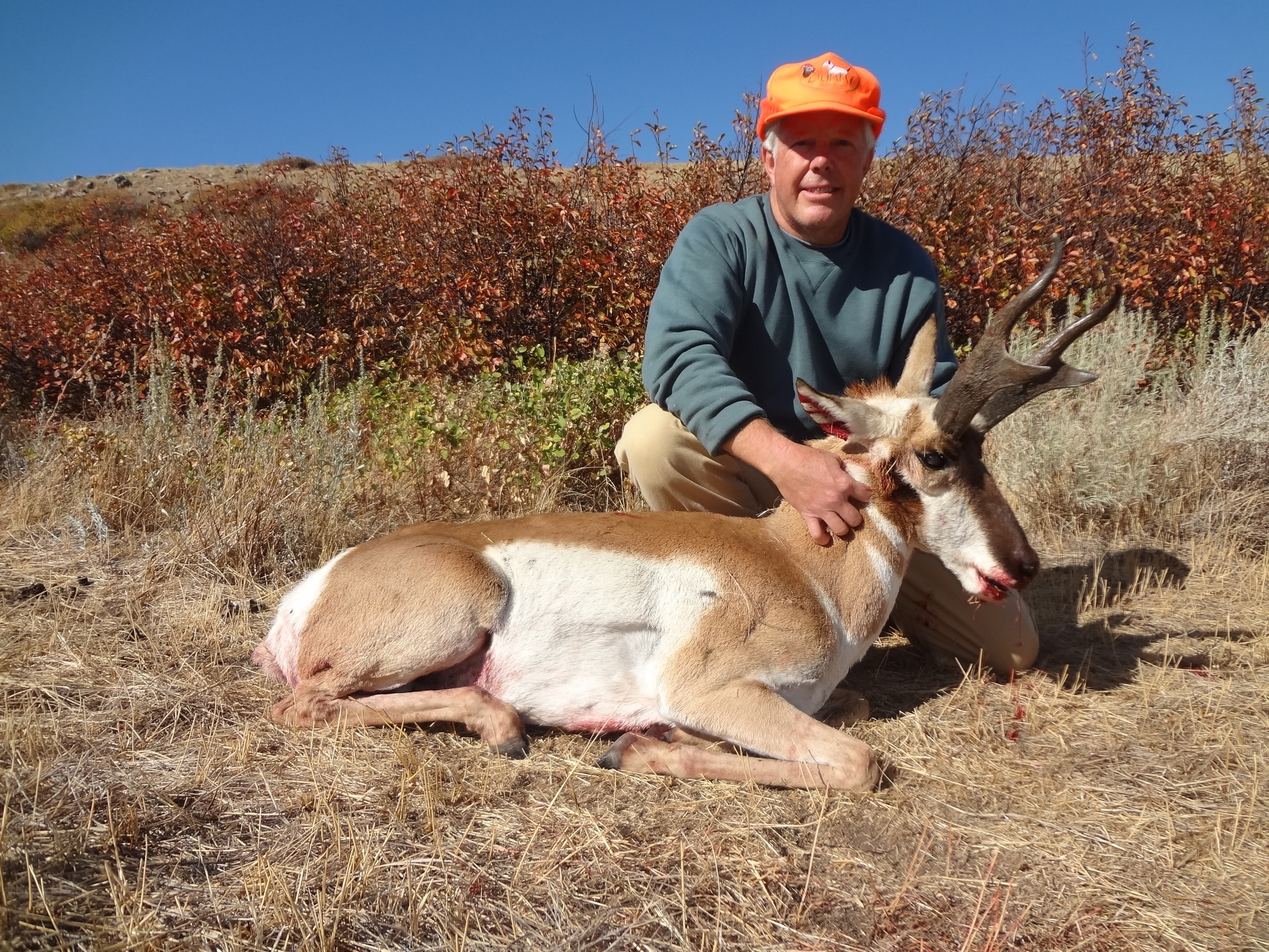Antelope 2012 012.JPG